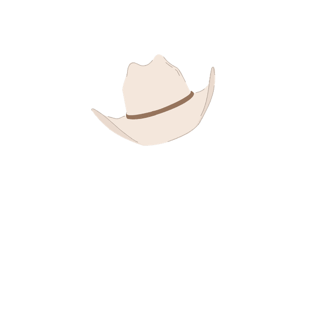 COWBOY_HAT_2